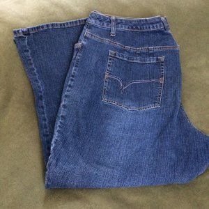 LA Blues Womens Blue Rodeo Plus Size 6 Short Jeans